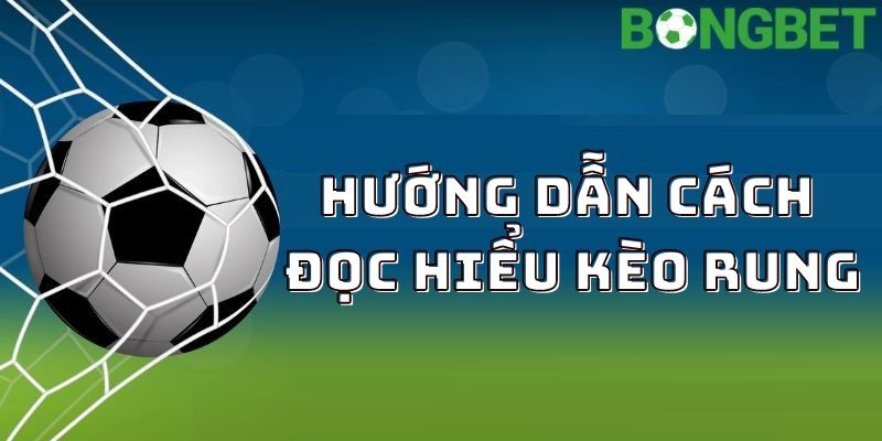 Hướng dẫn cách đọc hiểu kèo rung như thế nào?